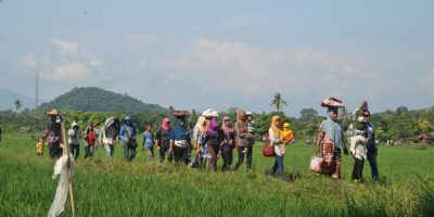 Pesta Adat Ponan di Sumbawa, doa agar panen padi melimpah
