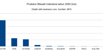 Produksi Blewah Indonesia tahun 2020