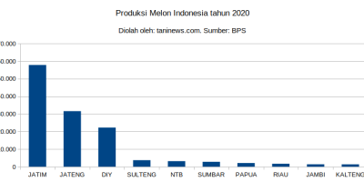 Produksi Melon Indonesia tahun 2020
