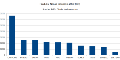 Produksi nanas Indonesia tahun 2020