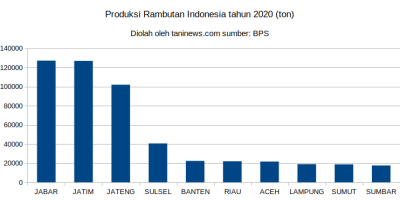 Produksi Rambutan Indonesia tahun 2020