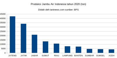 Produksi Jambu Air Indonesia tahun 2020