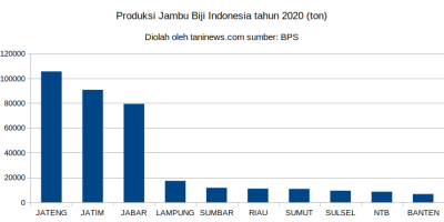 Produksi Jambu Biji Indonesia tahun 2020