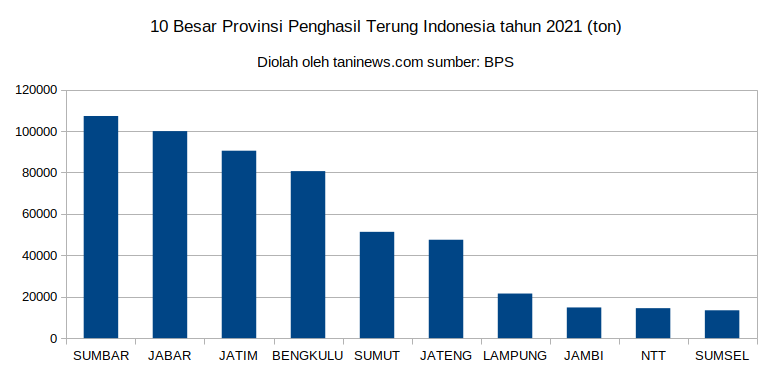 Produksi Terung Indonesia tahun 2021