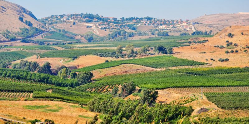 Pertanian di Israel, lahan tandus tapi menghasilkan