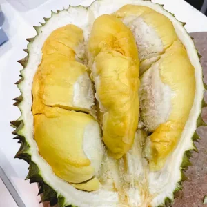 Durian Bawor Banyumas