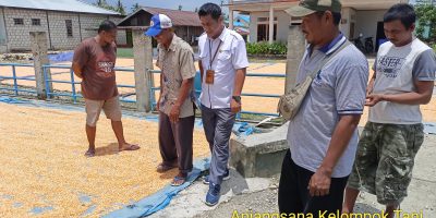 Identifikasi Hasil Standar Instrumen Pertanian Spesifik Lokasi Komoditas Tanaman Pangan di Tapal Batas Papua
