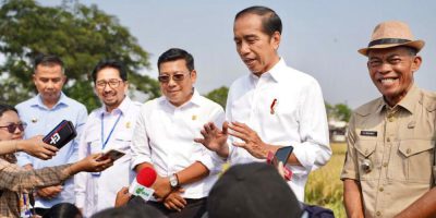 Plt. Menteri Pertanian Arief Prasetyo Adi dampingi Presiden RI Joko Widodo Panen Padi di Subang